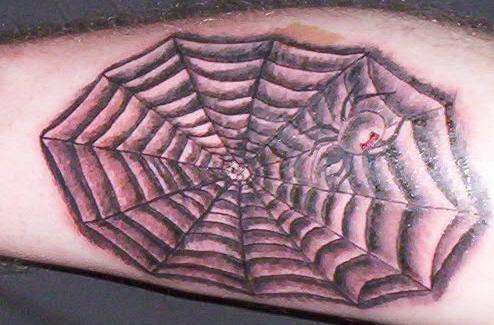 Spider tattoo