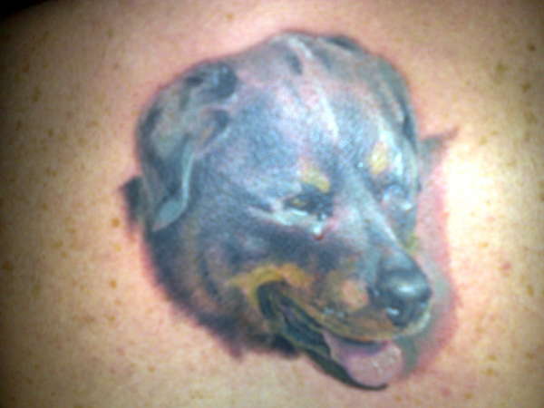 My Rottweiler tattoo