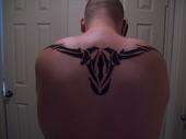 tribal longhorn tattoo