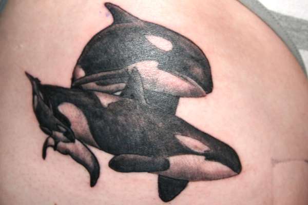 wolves of the sea tattoo