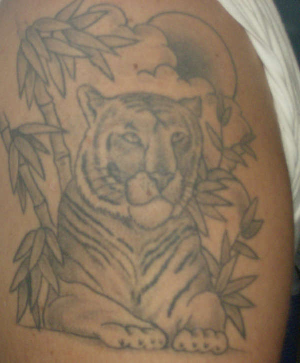 Tiger tattoo