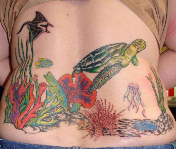 Turtle reef seen update tattoo