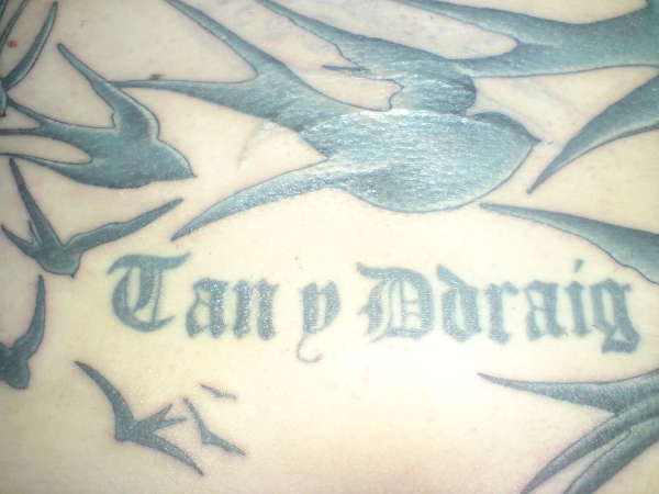 swallows2 tattoo