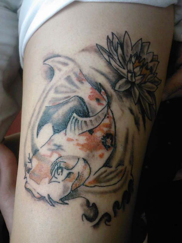 Koi with Water Lilly. tattoo