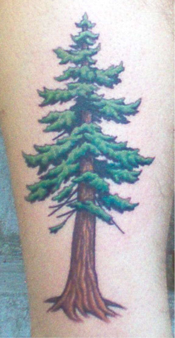 My tree tat tattoo