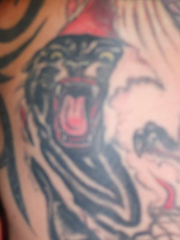PANTHER tattoo