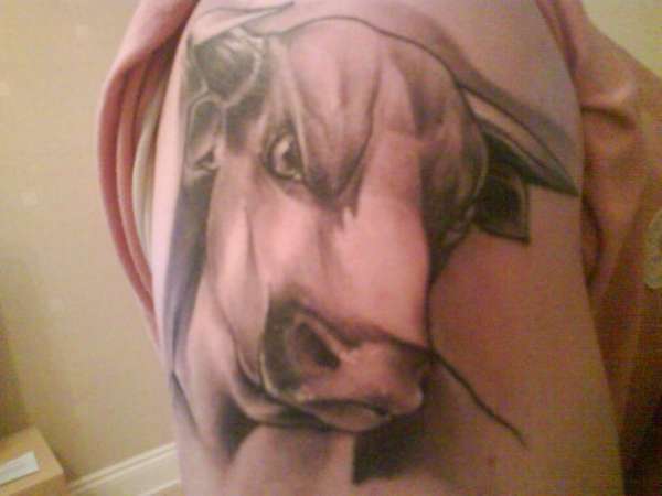 Bull My 1st Tattoo tattoo