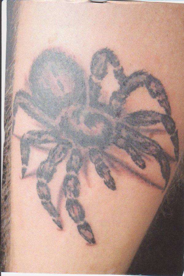 Spider tattoo