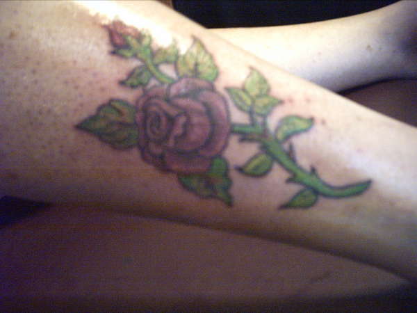 rose tattoo