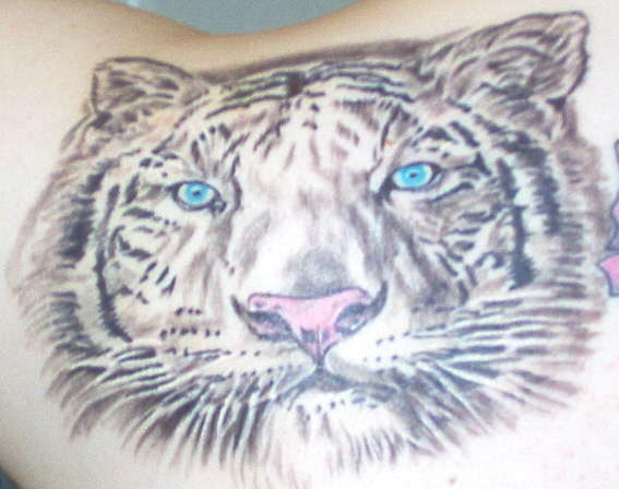 tiger, 4th tattoo tattoo