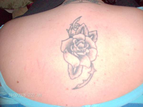 first rose tattoo