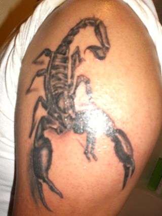 scorpion tattoo