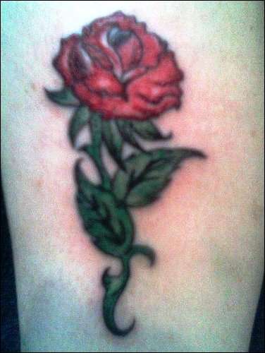 rose tattoo