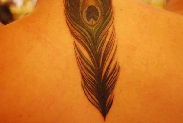 Peacock Feather tattoo