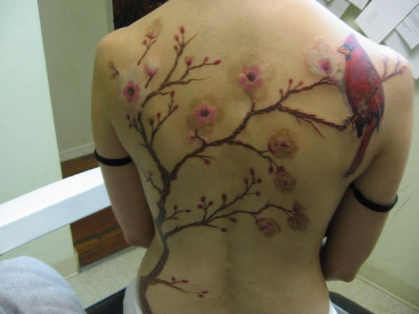 cherry blossom w/ cardnal tattoo