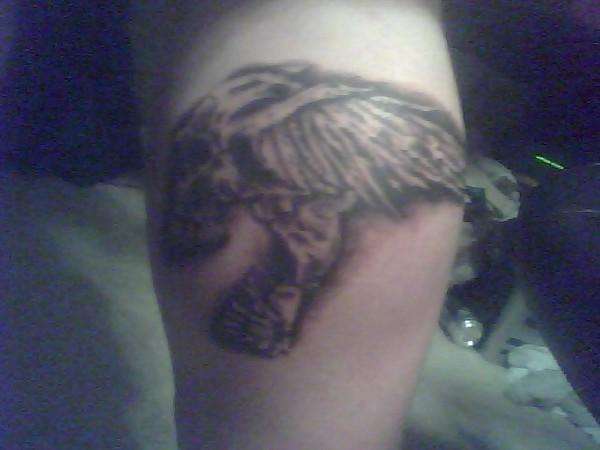 left calf skull n wings tattoo