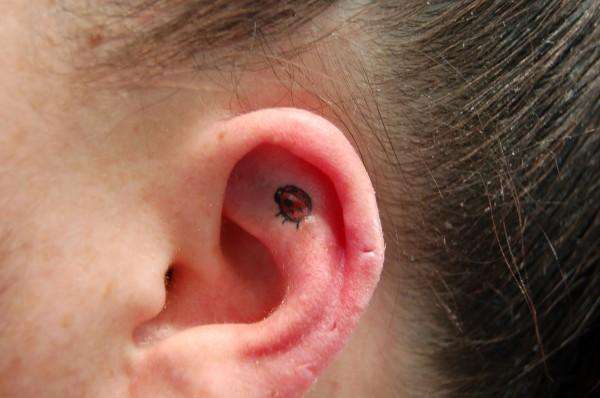 Ladybug Ear Tattoo tattoo