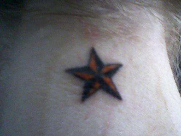 Sea Star Tattoo Sleeve - wide 9