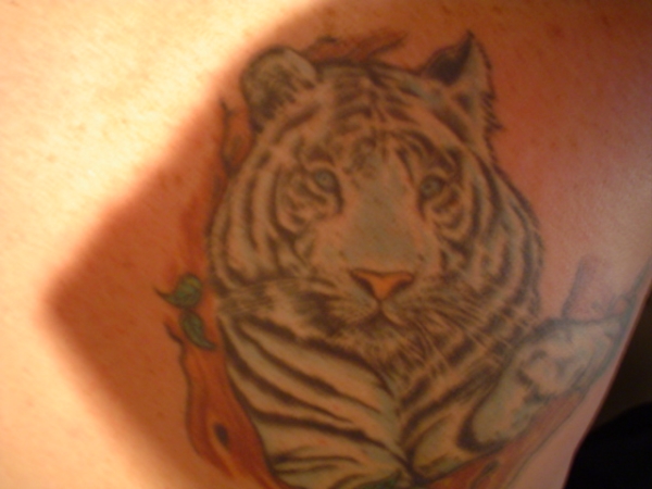 White Tiger tattoo