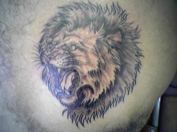 my first lion tattoo