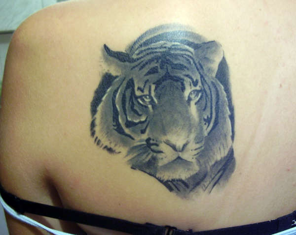 tigar2 tattoo