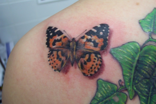 Painted lady butterfly tattoo