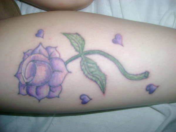 rose tattoo