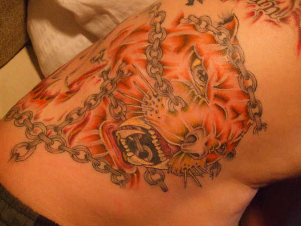 Tiger startin color . tattoo