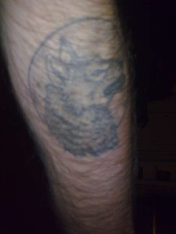 wolf tattoo