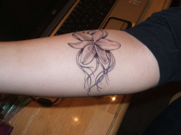 Lily tattoo