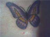 Butterfly tattoo