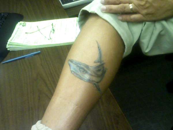 Shark tattoo