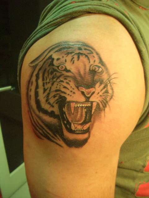 tiger on shoulder... tattoo