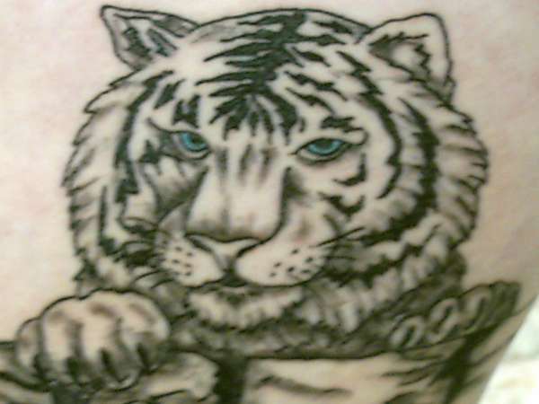 white tiger tattoo