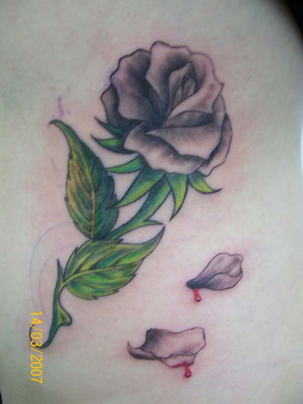 Rose Tattoo tattoo