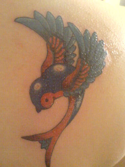 Swallow tattoo