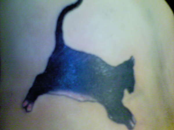 jumpin cat tattoo