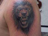 lion tattoo