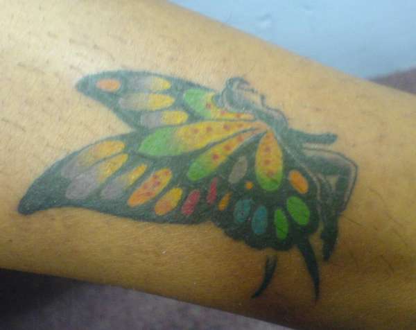 Fairyfly tattoo