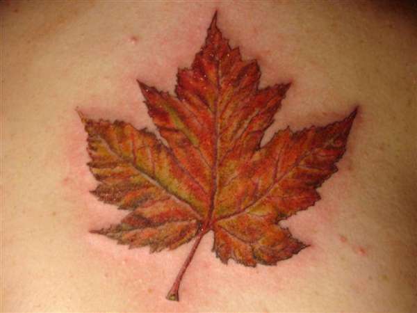 maple leaf tatt tattoo