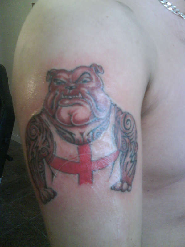 Bulldog Tribal on Bicep tattoo