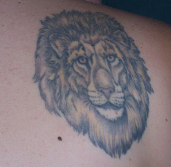 my lion tattoo