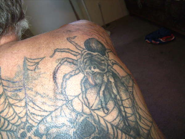 spider tattoo