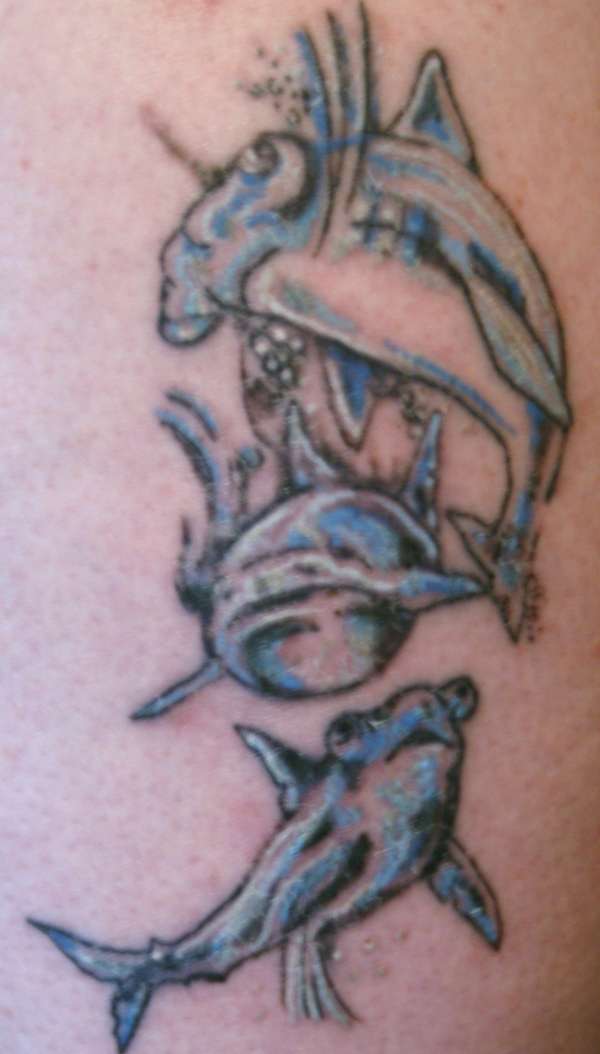 sharks tattoo