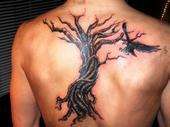 My Tree (not finished) tattoo