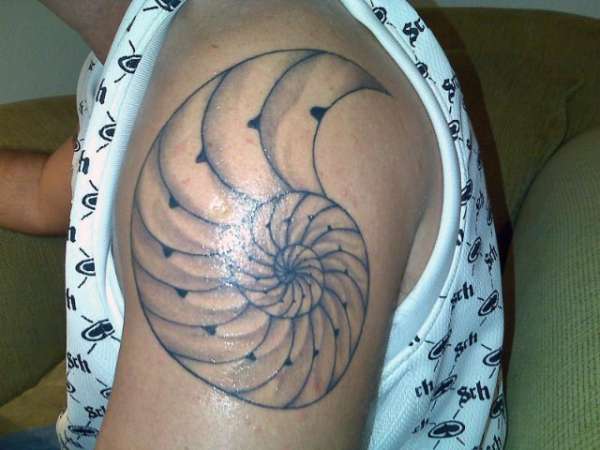 fibonacci spiral tattoo meaning