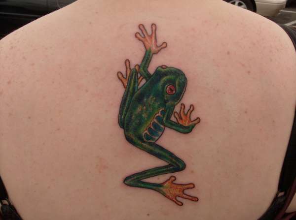 red eyed tree frog tattoo