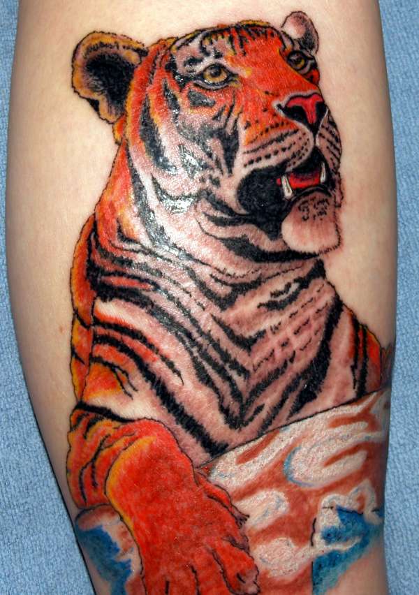 tiger tattoo