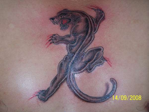 panther tattoo