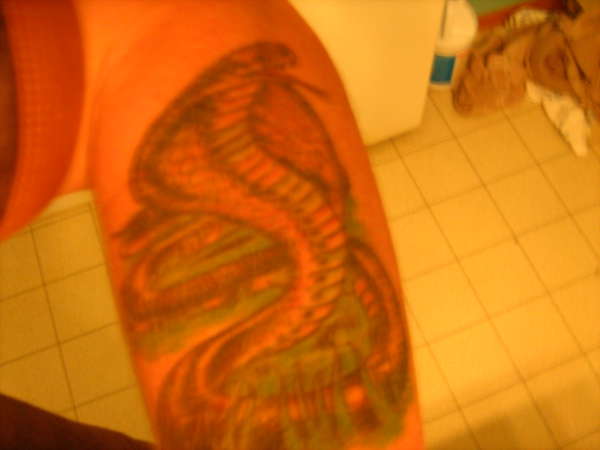 My snake tattoo
